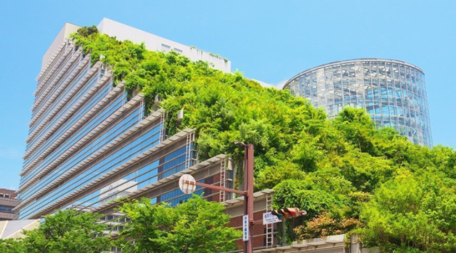 Green Building: Why It Matters