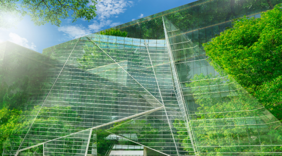 What Is the Future of Green Buildings and Eco-Friendly Construction?